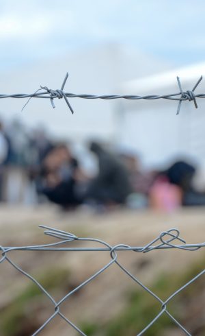 Apel organizacji pozarządowych o weto ustawy o „zawieszeniu” prawa do azylu