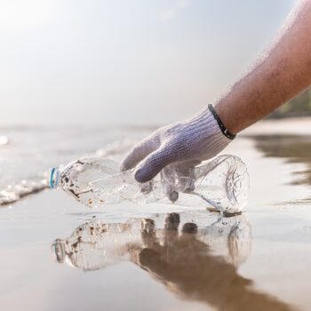 Światowy Dzień Środowiska 2025: Czas na realne działania – przeciwko zanieczyszczeniu plastikiem