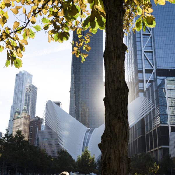 Adaptacja w czasie kryzysu: dlaczego 72% działań nie przynosi efektów i co trzeba jak najszybciej zmienić ?