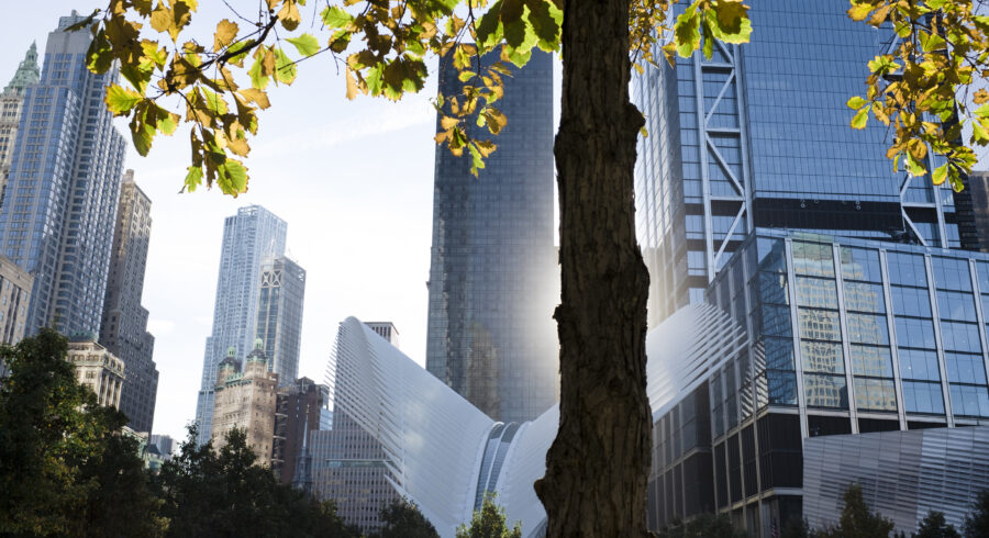 Adaptacja w czasie kryzysu: dlaczego 72% działań nie przynosi efektów i co trzeba jak najszybciej zmienić ?