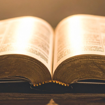 “Mądze” i wolność od odpowiedzialności