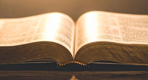 “Mądze” i wolność od odpowiedzialności