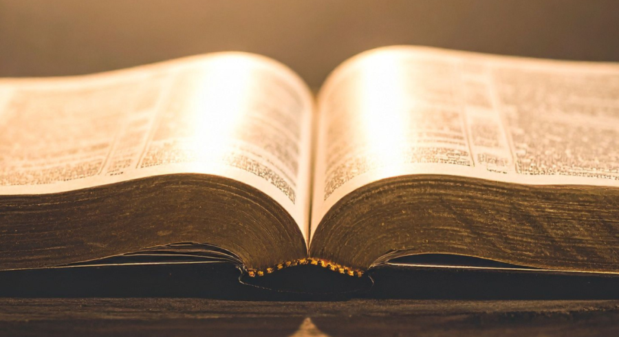 “Mądze” i wolność od odpowiedzialności