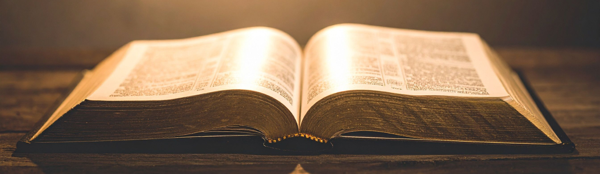 “Mądze” i wolność od odpowiedzialności