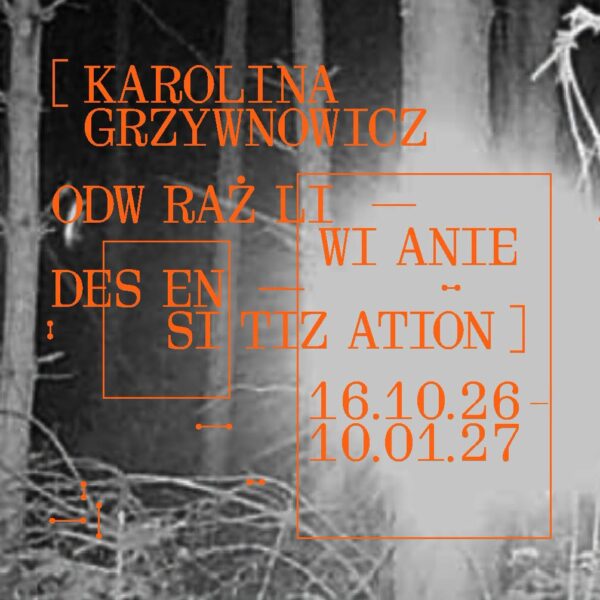 Sztuka, ciało i odpowiedzialność. Zostaliśmy partnerem wystawy Karoliny Grzywnowicz „Odwrażliwianie”, którą można oglądać w Zachęcie do 10 stycznia 2027 r.